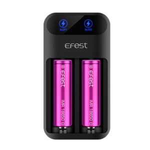 Efest Q2 Lader